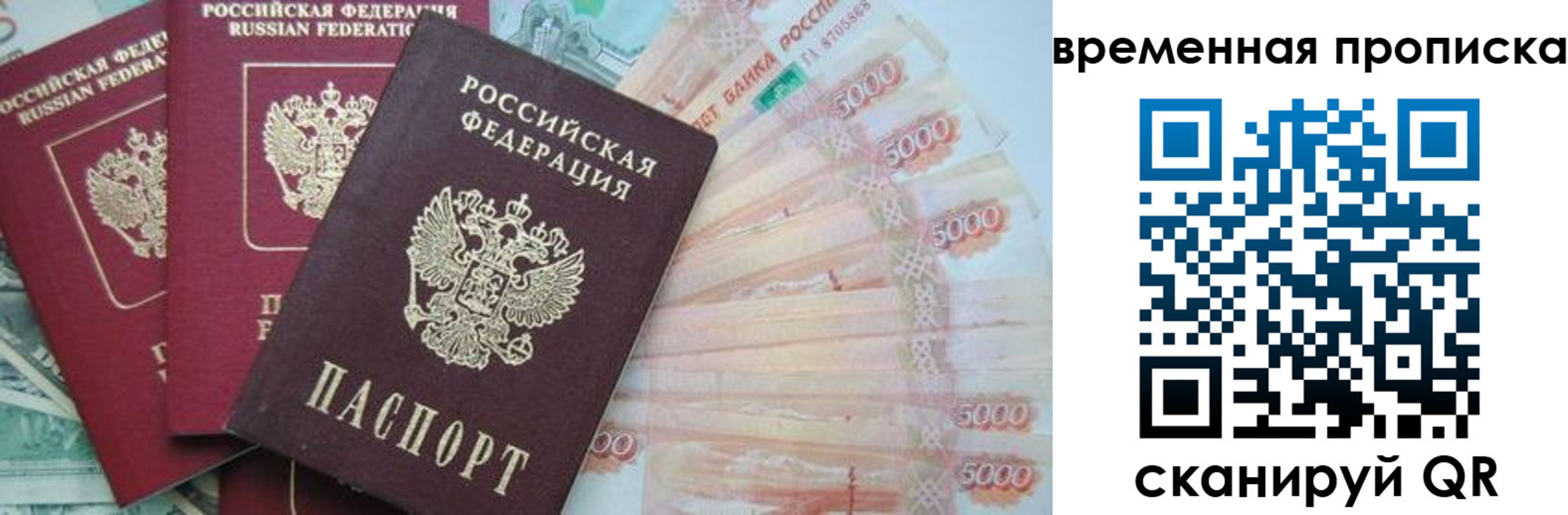 прописка поиск в Находке